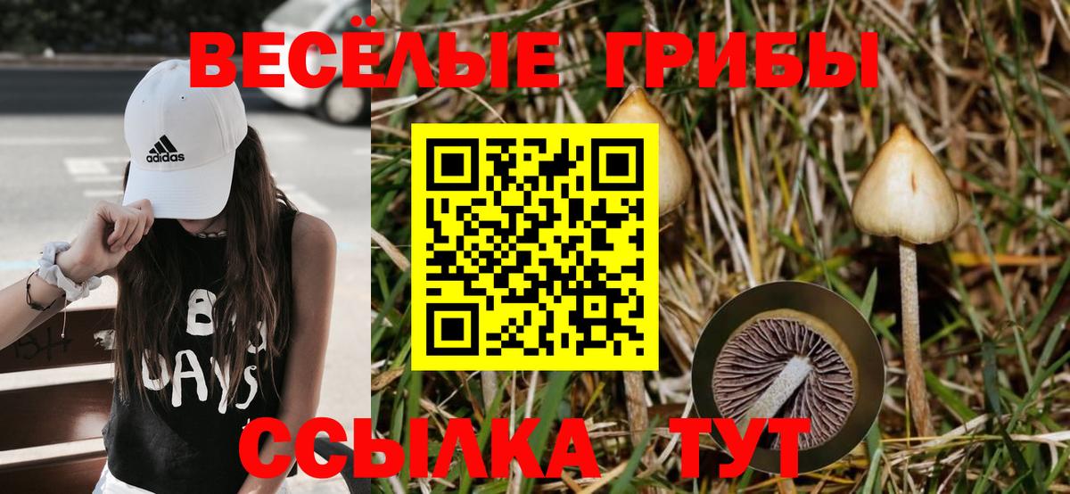 Псилоцибиновые грибы Magic Shrooms Обнинск