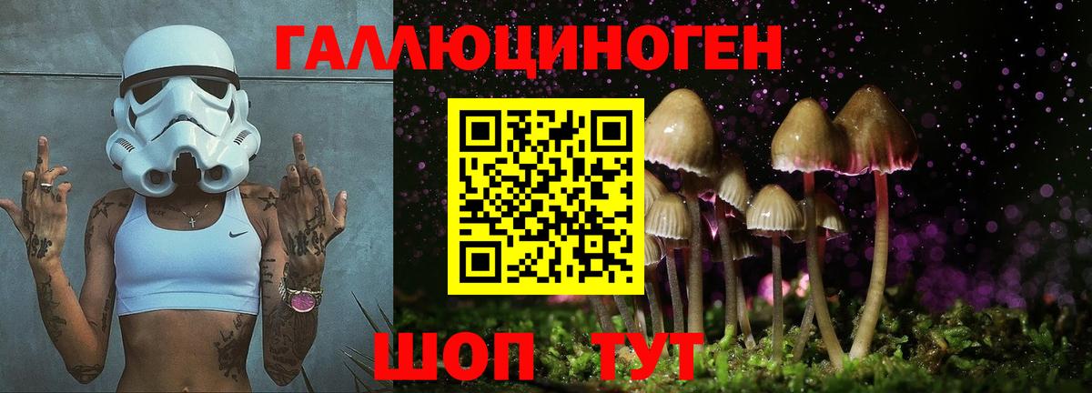 Обнинск  Галлюциногенные грибы Psilocybine cubensis  Вход с VPN 